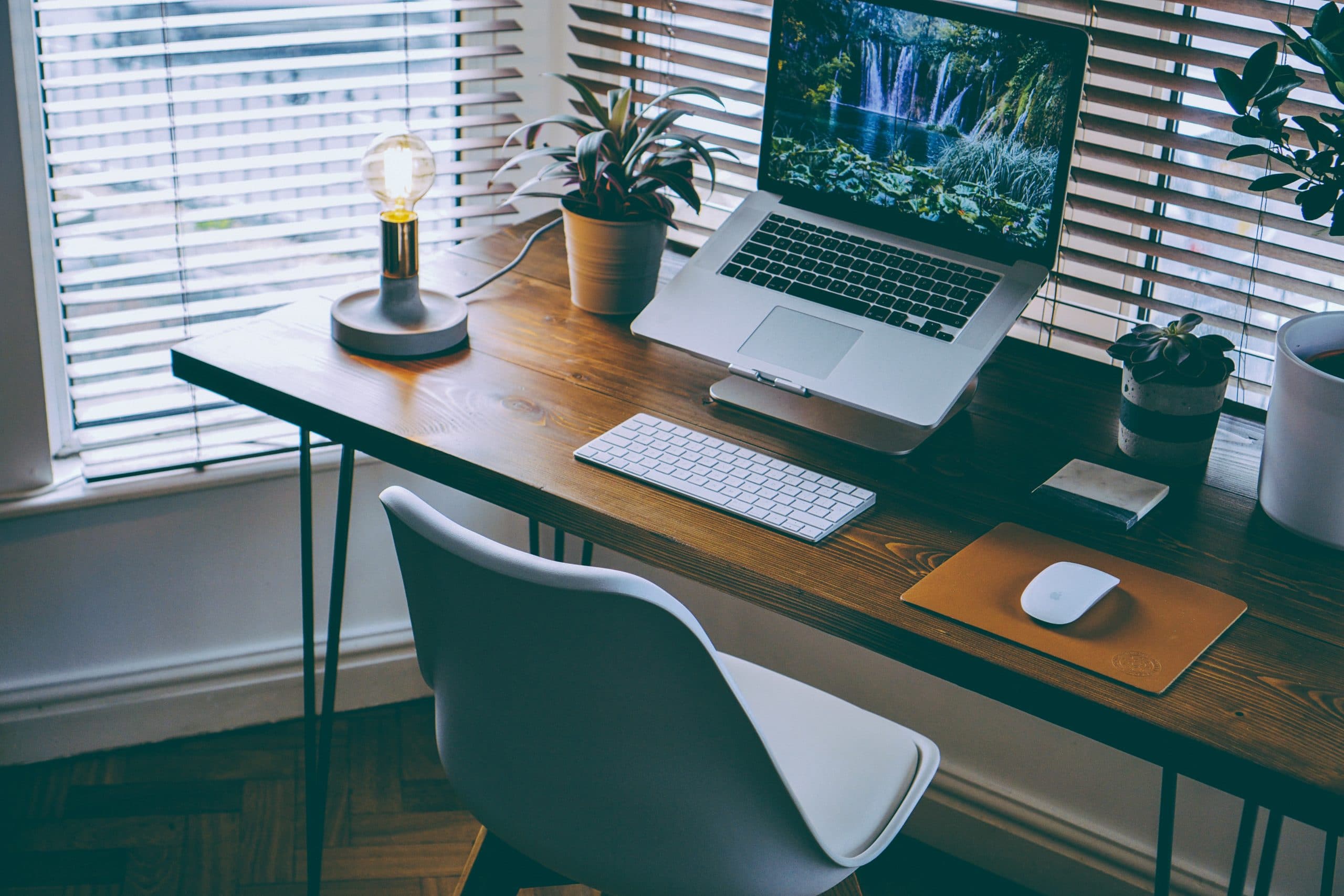 Home office set up this laptop and green plants