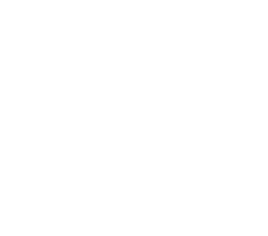 Regional Transportation Commission of Southern Nevada